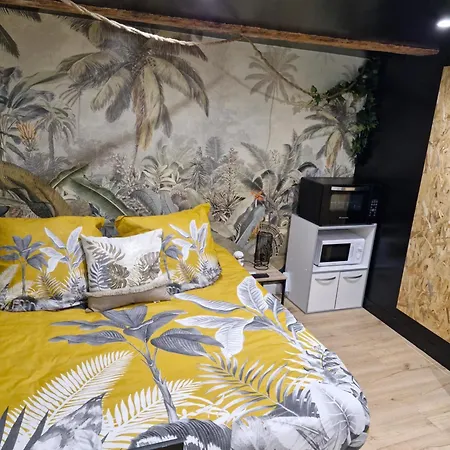 Daire Studioroomjungle