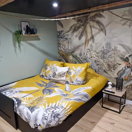 Daire Studioroomjungle *